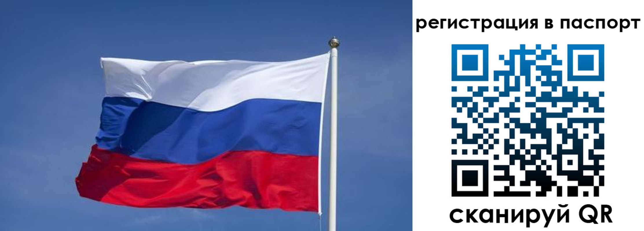 прописка в квартире в Волоколамске